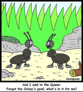 the myth of the ant queen individuality